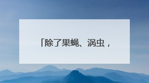 除了果蝇、涡虫，中国空间站还有哪些“动物航天员”