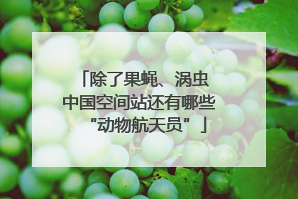 除了果蝇、涡虫 中国空间站还有哪些“动物航天员”
