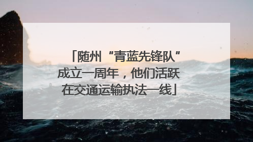 随州“青蓝先锋队”成立一周年，他们活跃在交通运输执法一线
