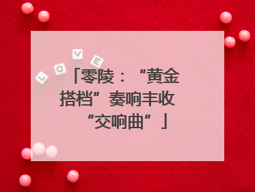 零陵：“黄金搭档”奏响丰收“交响曲”