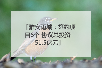 雅安雨城：签约项目6个 协议总投资51.5亿元