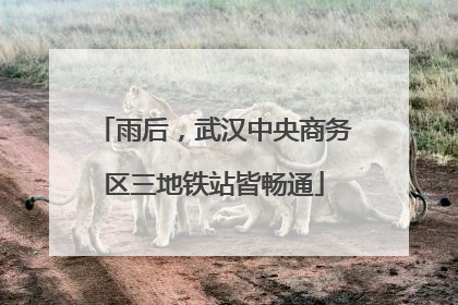 雨后，武汉中央商务区三地铁站皆畅通