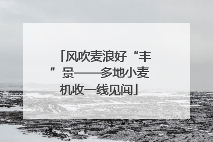 风吹麦浪好“丰”景——多地小麦机收一线见闻