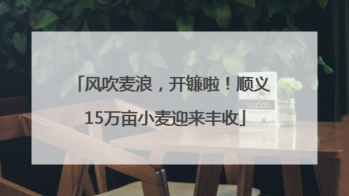 风吹麦浪，开镰啦！顺义15万亩小麦迎来丰收