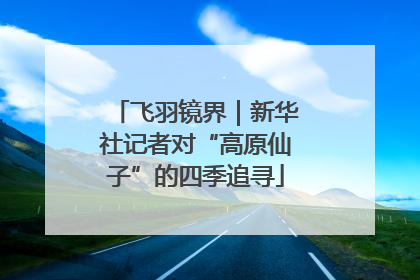 飞羽镜界｜新华社记者对“高原仙子”的四季追寻