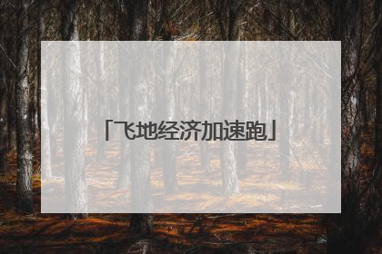 飞地经济加速跑