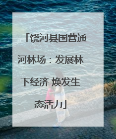 饶河县国营通河林场：发展林下经济 焕发生态活力