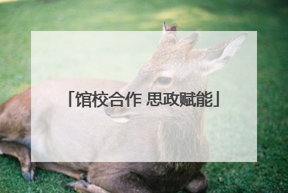 馆校合作 思政赋能