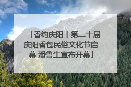 香约庆阳丨第二十届庆阳香包民俗文化节启幕 潘鲁生宣布开幕