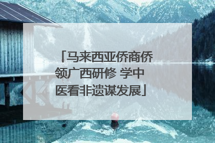 马来西亚侨商侨领广西研修 学中医看非遗谋发展