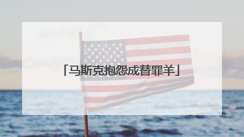 马斯克抱怨成替罪羊