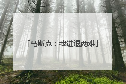 马斯克：我进退两难