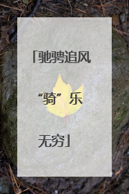 驰骋追风 “骑”乐无穷