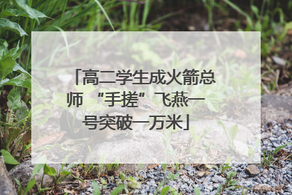 高二学生成火箭总师 “手搓”飞燕一号突破一万米