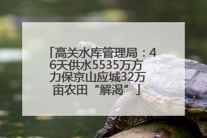 高关水库管理局：46天供水5535万方 力保京山应城32万亩农田“解渴”