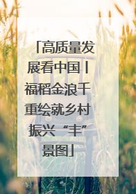 高质量发展看中国丨福稻金浪千重绘就乡村振兴“丰”景图