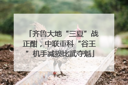 齐鲁大地“三夏”战正酣，中联重科“谷王”机手减损比武夺魁