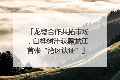 龙粤合作共拓市场，白桦树汁获黑龙江首张“湾区认证”