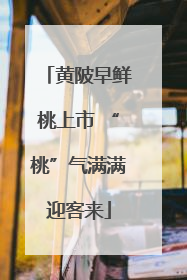 黄陂早鲜桃上市 “桃”气满满迎客来