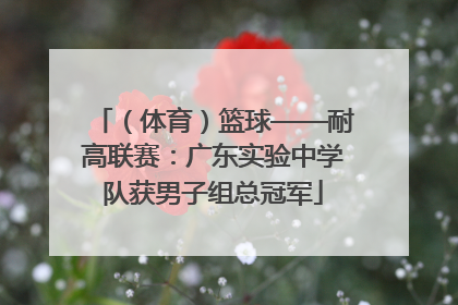 （体育）篮球——耐高联赛：广东实验中学队获男子组总冠军