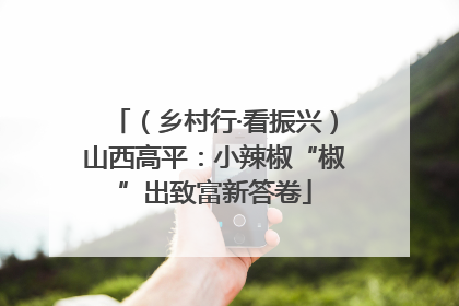 （乡村行·看振兴）山西高平：小辣椒“椒”出致富新答卷