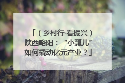 （乡村行·看振兴）陕西略阳：“小瓢儿”如何撬动亿元产业？