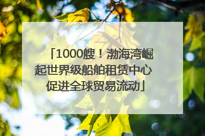 1000艘！渤海湾崛起世界级船舶租赁中心 促进全球贸易流动