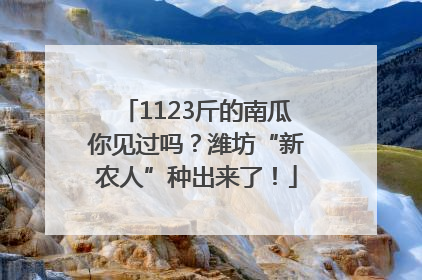 1123斤的南瓜你见过吗？潍坊“新农人”种出来了！