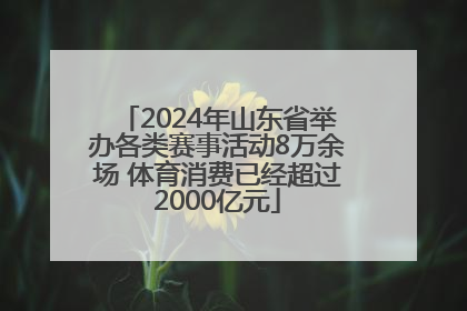 2024年山东省举办各类赛事活动8万余场 体育消费已经超过2000亿元