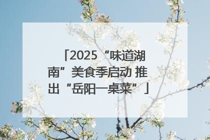 2025“味道湖南”美食季启动 推出“岳阳一桌菜”