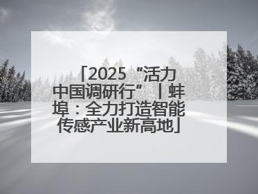 2025“活力中国调研行”丨蚌埠：全力打造智能传感产业新高地