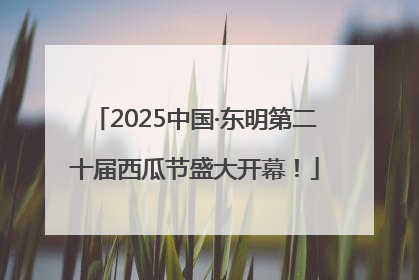 2025中国·东明第二十届西瓜节盛大开幕！