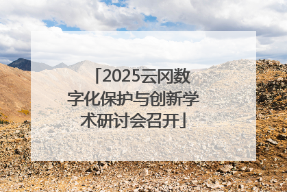 2025云冈数字化保护与创新学术研讨会召开