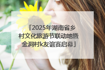 2025年湖南省乡村文化旅游节联动地暨金洞村k友谊赛启幕
