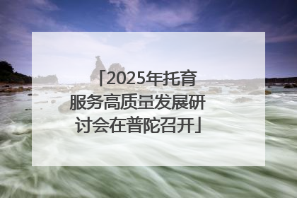 2025年托育服务高质量发展研讨会在普陀召开