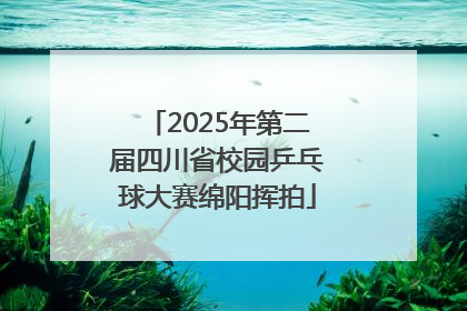 2025年第二届四川省校园乒乓球大赛绵阳挥拍