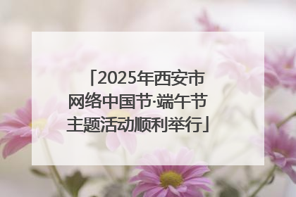 2025年西安市网络中国节·端午节主题活动顺利举行