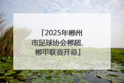 2025年郴州市足球协会郴超、郴甲联赛开幕