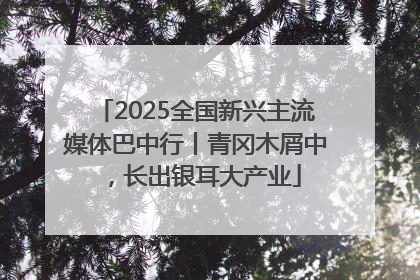 2025全国新兴主流媒体巴中行丨青冈木屑中，长出银耳大产业