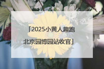 2025小黄人趣跑北京园博园站收官