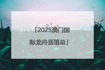 2025澳门国际龙舟赛落幕