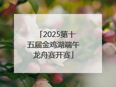 2025第十五届金鸡湖端午龙舟赛开赛