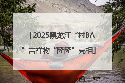 2025黑龙江“村BA”吉祥物“隆隆”亮相