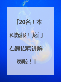20名！本科起报！龙门石窟招聘讲解员啦！