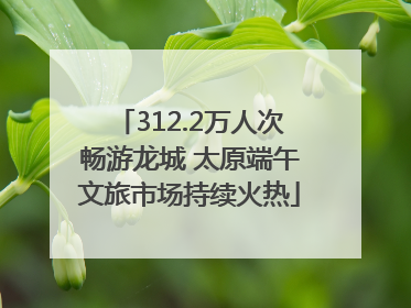 312.2万人次畅游龙城 太原端午文旅市场持续火热