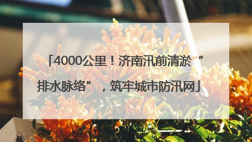 4000公里！济南汛前清淤“排水脉络”，筑牢城市防汛网