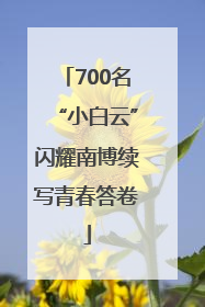 700名“小白云”闪耀南博续写青春答卷