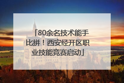 80余名技术能手比拼！西安经开区职业技能竞赛启动