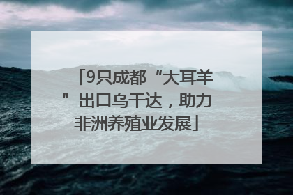 9只成都“大耳羊”出口乌干达，助力非洲养殖业发展
